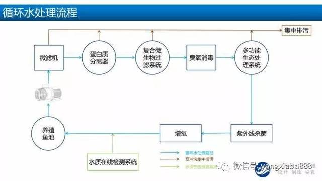 工廠化水產(chǎn)養(yǎng)殖 技術(shù)革新背后的“人”本設計與可持續(xù)發(fā)展